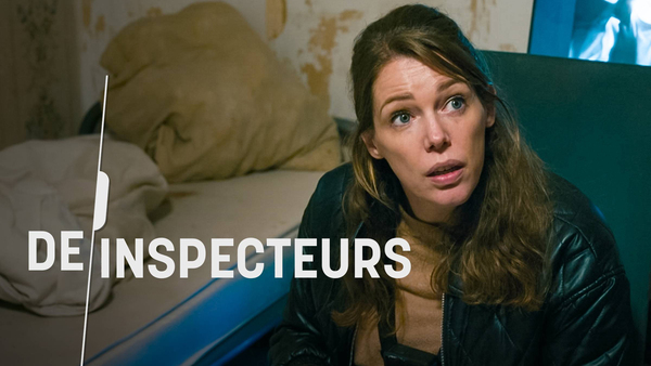 De Inspecteurs