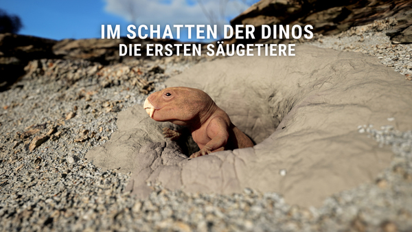 Im Schatten der Dinos - Die ersten Säugetiere