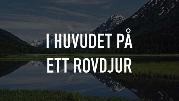 I huvudet på ett rovdjur