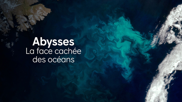 Abysses, la face cachées des océans