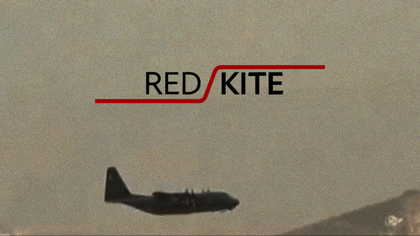 Red kite