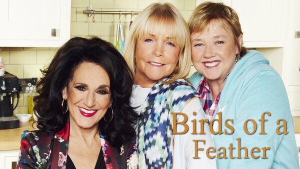 Birds of a Feather
