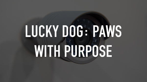 Lucky Dog: Paws With Purpose
