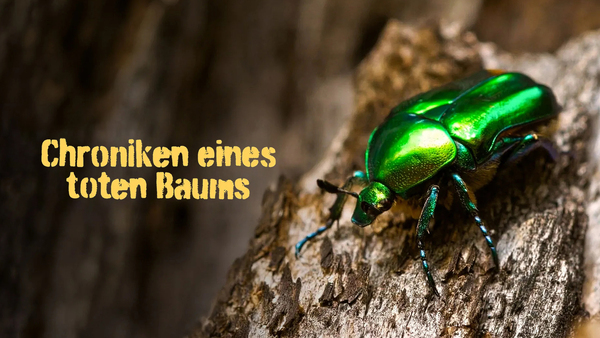 Chroniken eines toten Baums