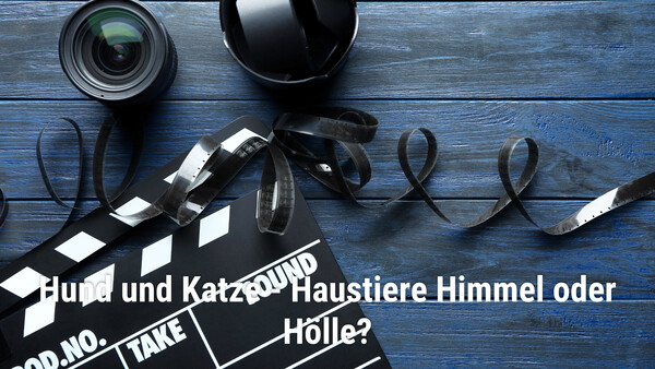 Hund und Katze - Haustiere Himmel oder Hölle?