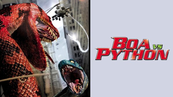 Boa vs. Python