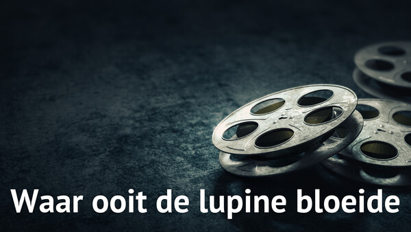 Waar ooit de lupine bloeide