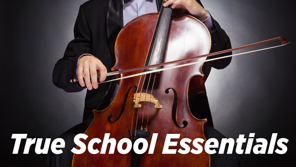 True School Essentials