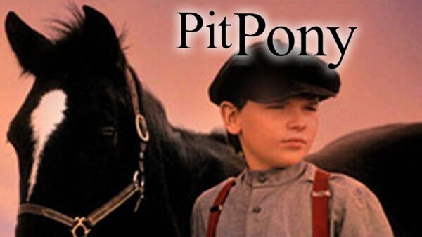 Pit Pony