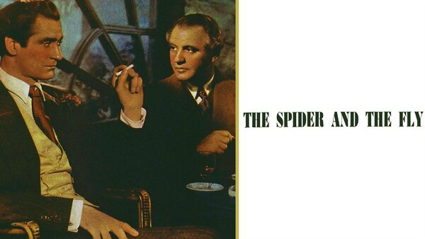The Spider and the Fly