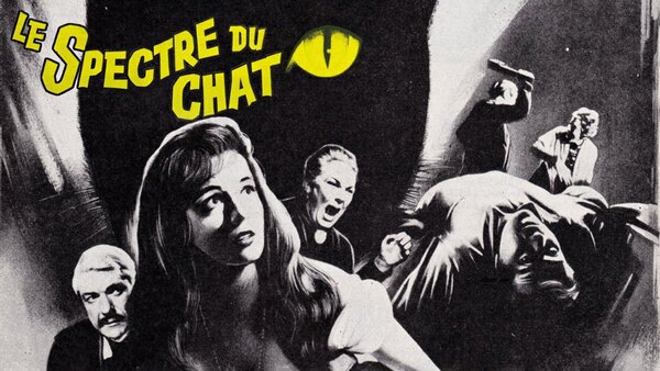 Le spectre du chat
