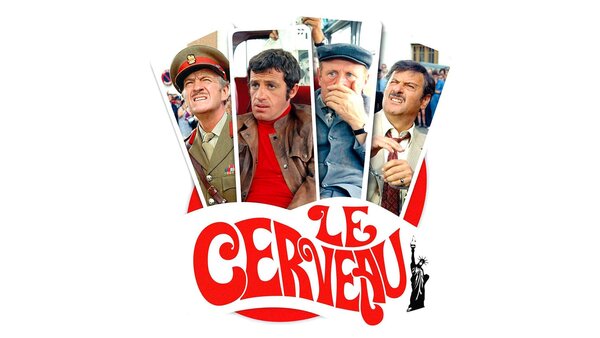 Le cerveau