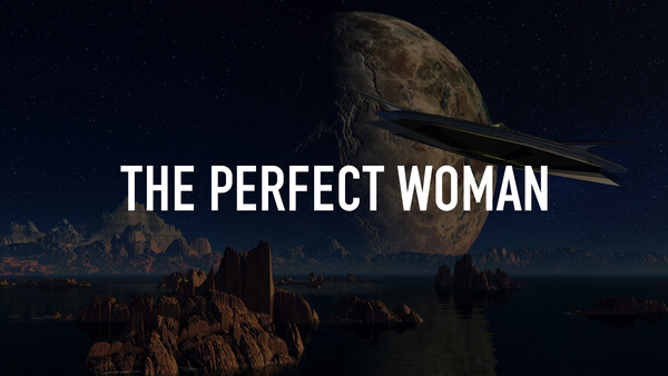 The Perfect Woman
