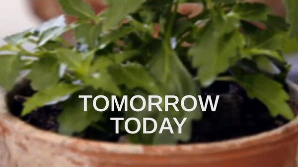 Tomorrow Today