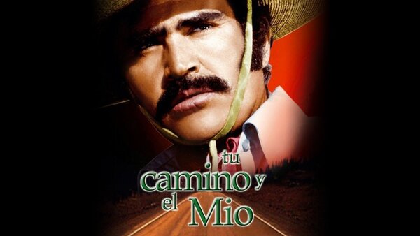 Tu camino y el mío