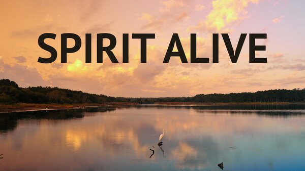 Spirit Alive