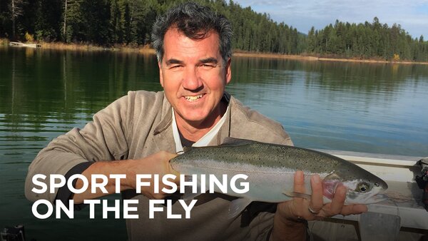 Sportfishing on the Fly