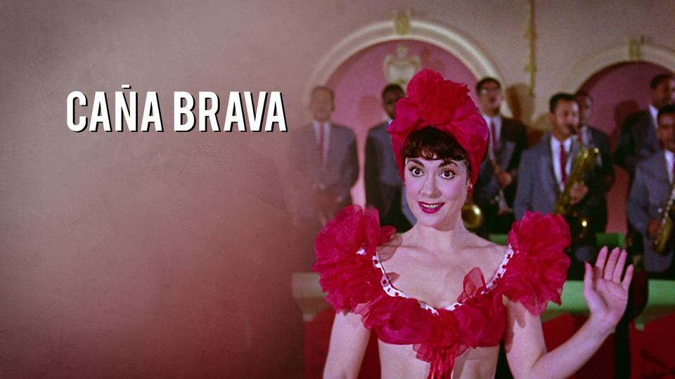 Caña Brava