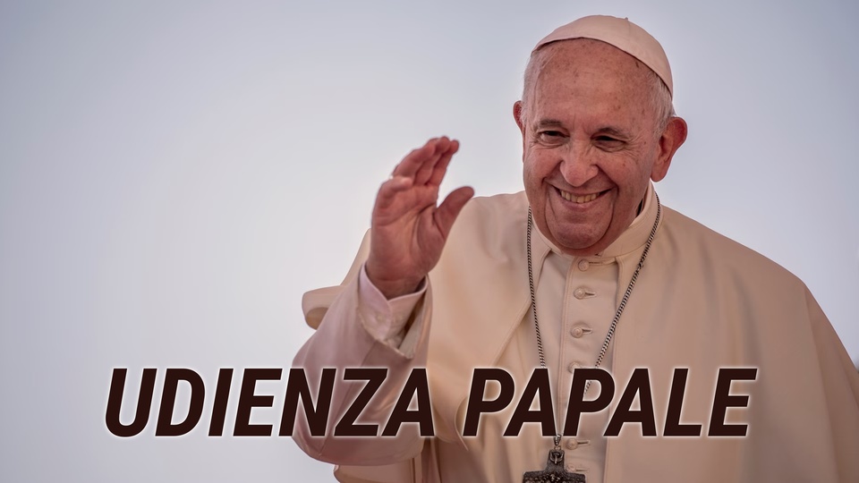 Udienza Papale