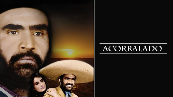 Acorralado