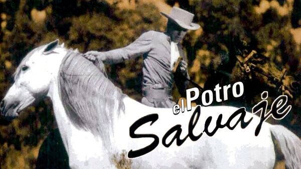 El potro salvaje
