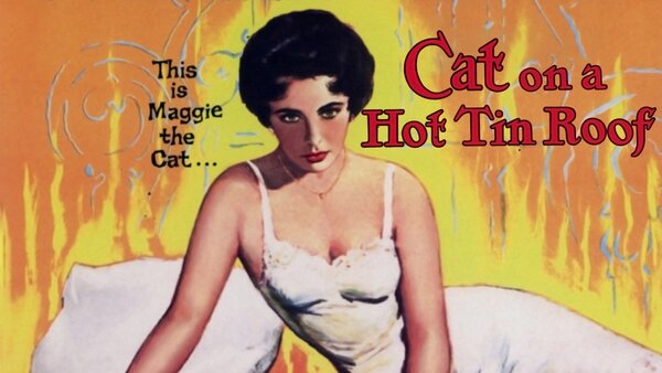 Cat on a Hot Tin Roof