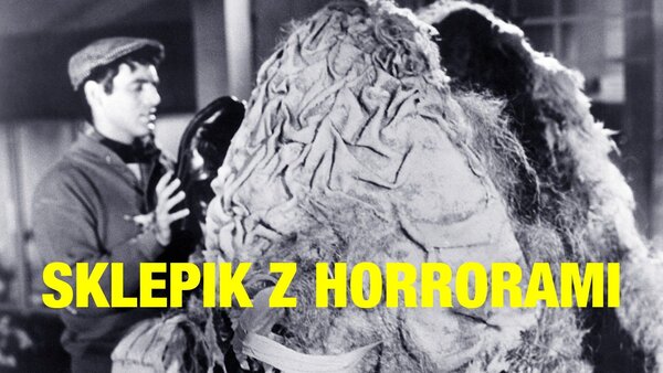 Sklepik z horrorami