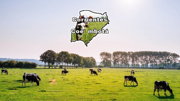 Corrientes Coe'mbota