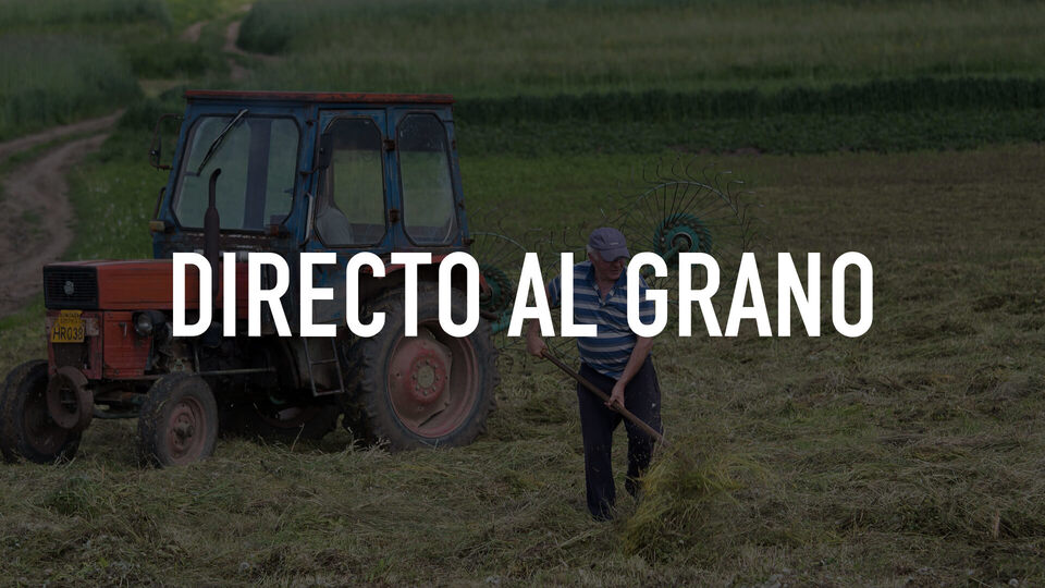 Directo al Grano