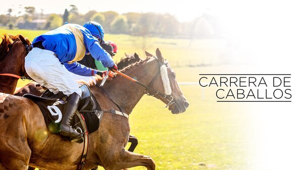 Live: Carrera de Caballos