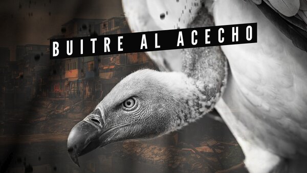 Buitre Al Acecho