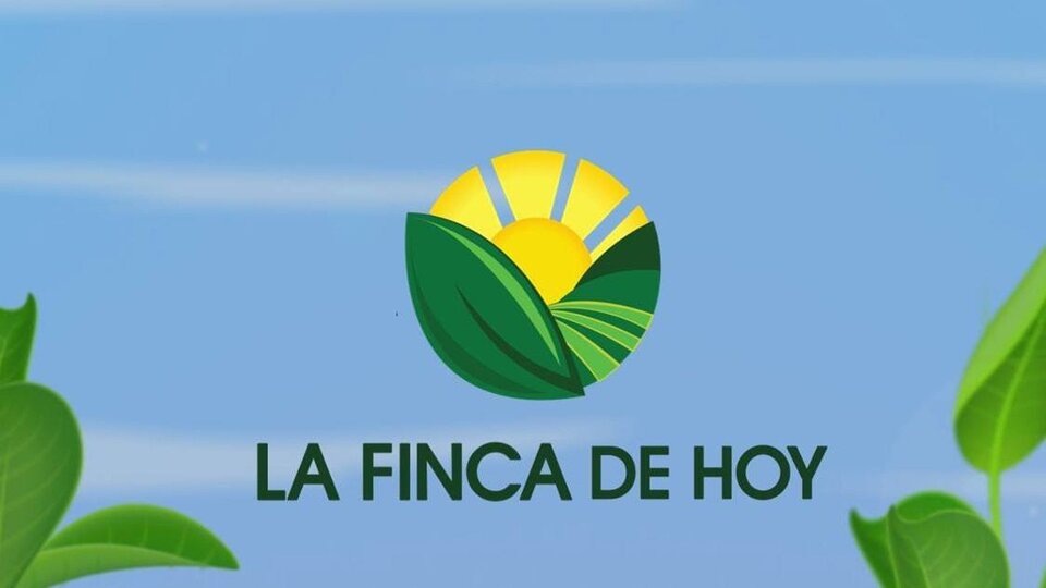 Live: La finca de hoy