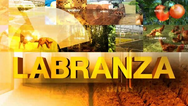 Labranza