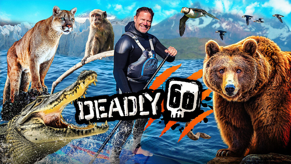 Deadly 60