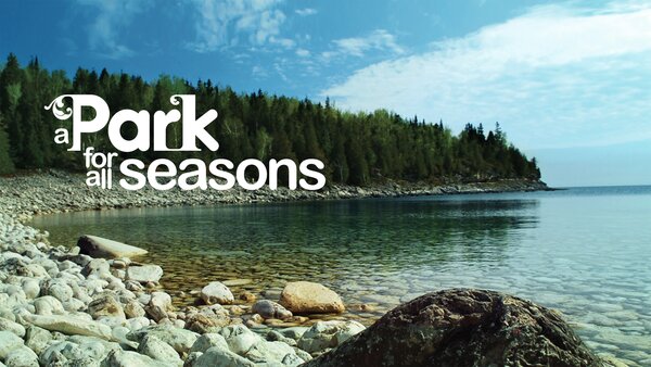 A Park for All Seasons