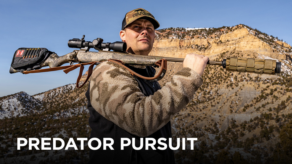 Predator Pursuit