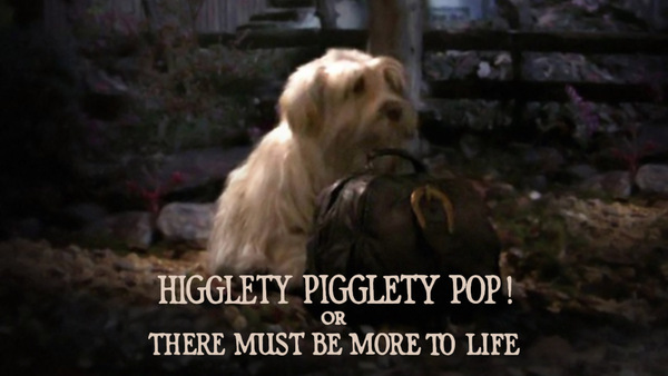 Higglety Pigglety Pop! or There Must Be More to Life