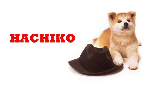 Hachiko