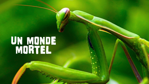 Un monde mortel