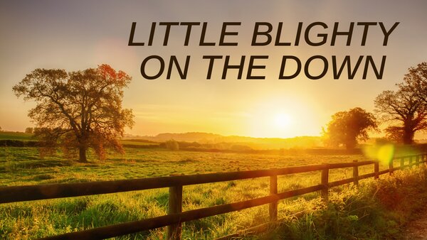 Little Blighty on the Down