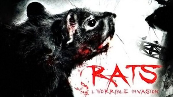 Les rats: l'horrible invasion