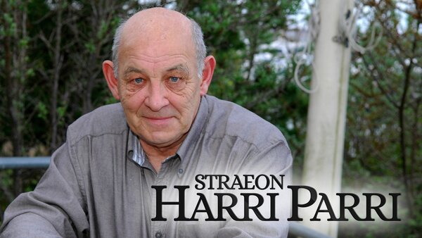 Straeon Harri Parri