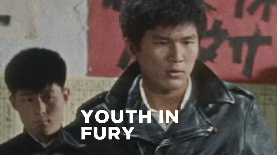 Youth in Fury