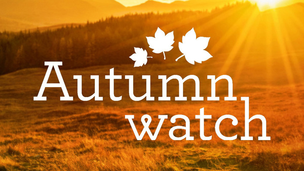Autumnwatch