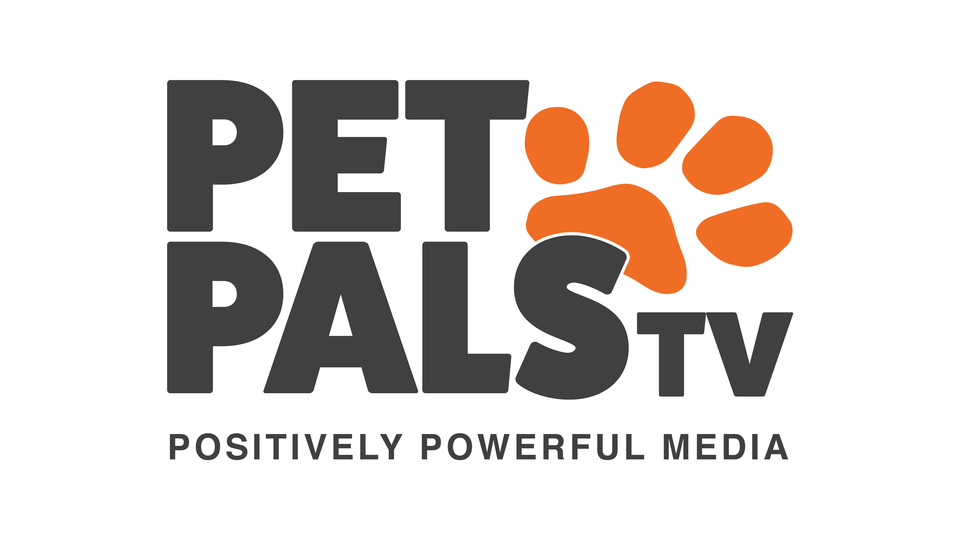 Pet Pals TV