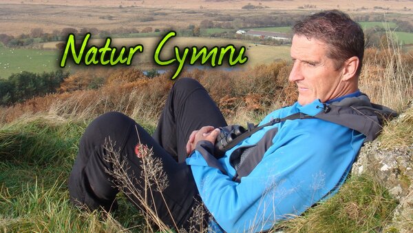 Natur Cymru