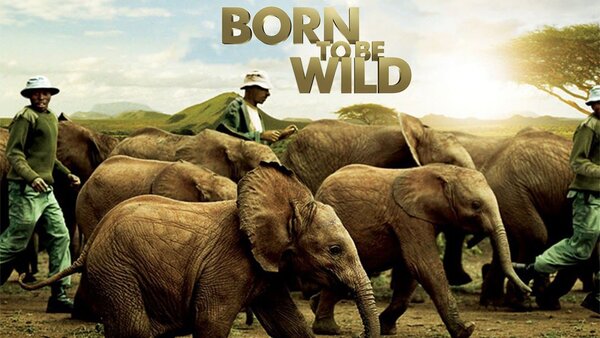 Born to Be Wild