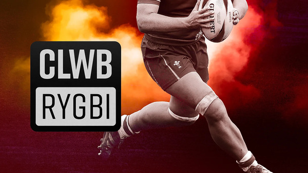 Clwb Rygbi