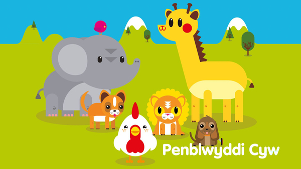 Penblwyddi Cyw