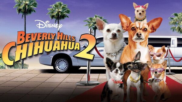 Beverly Hills Chihuahua 2